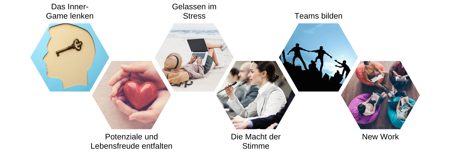 weitere interessante Kurse