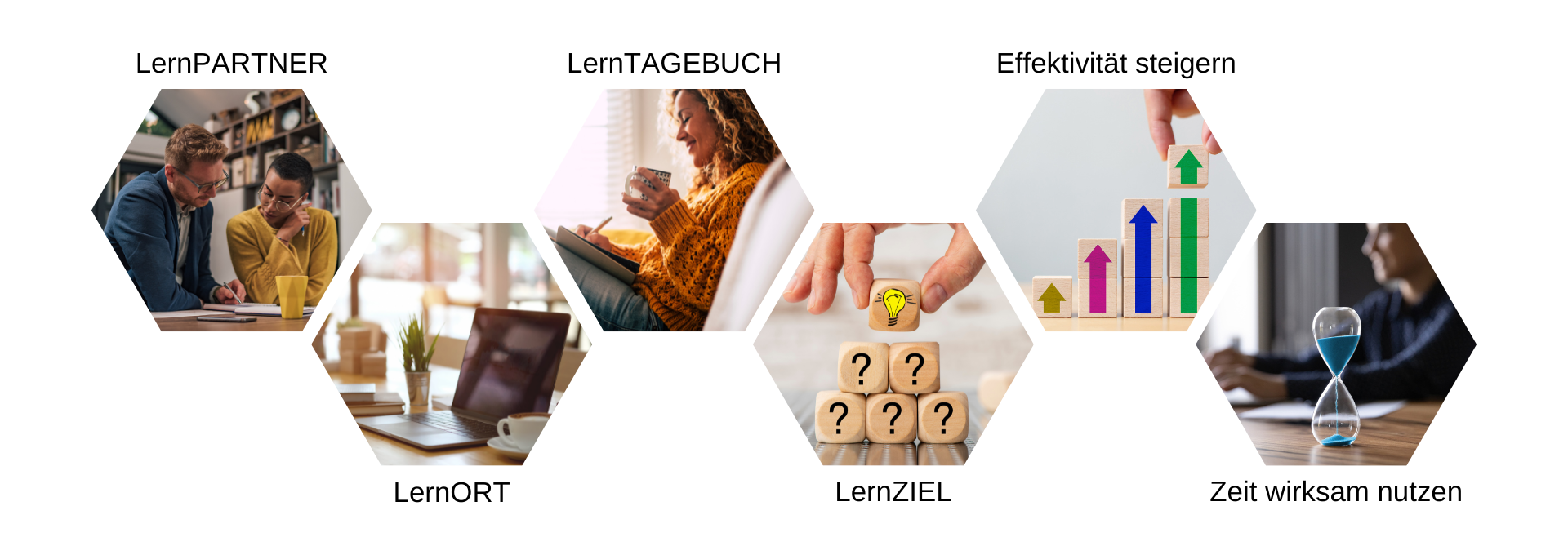 Empfehlung weitere Kurse_LernZEIT weitere interessante Kurse