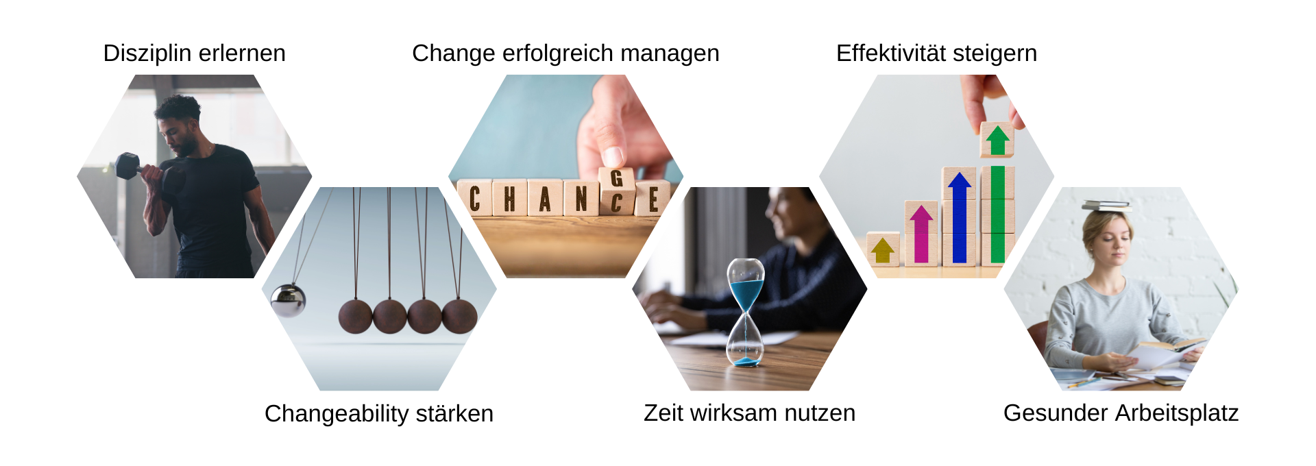 weitere interessante Kurse