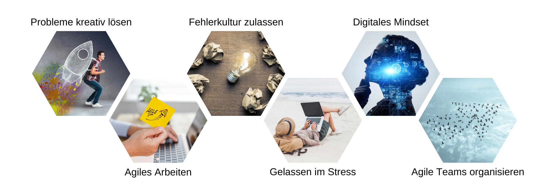 weitere interessante Kurse