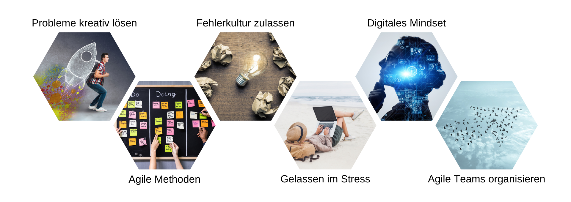 weitere interessante Kurse